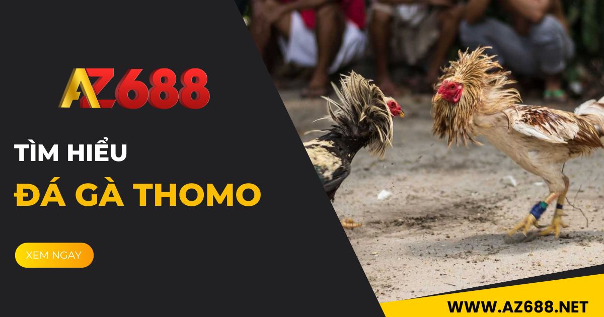 Đá Gà Thomo tại AZ688